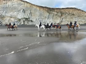 Beach ride
