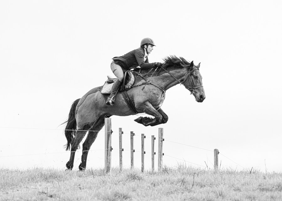 Netta Rousell riding Vinnie over a jump