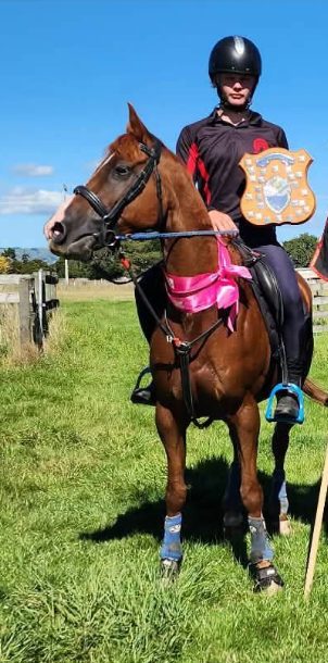 Campbell
